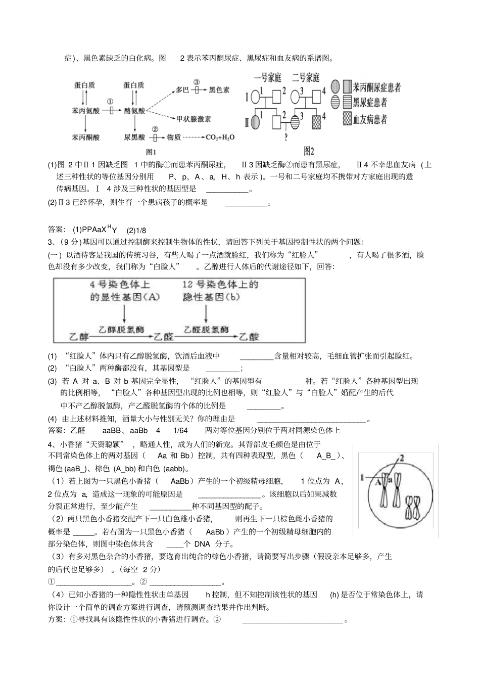 基因—酶—性状专题复习_第3页