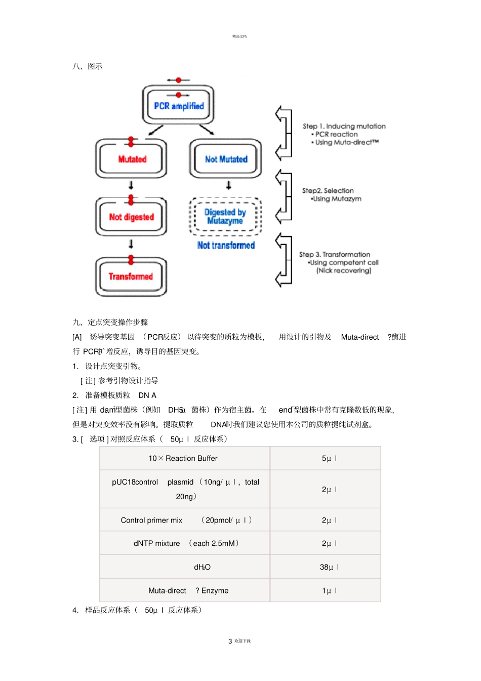 基因定点突变全攻略_第3页