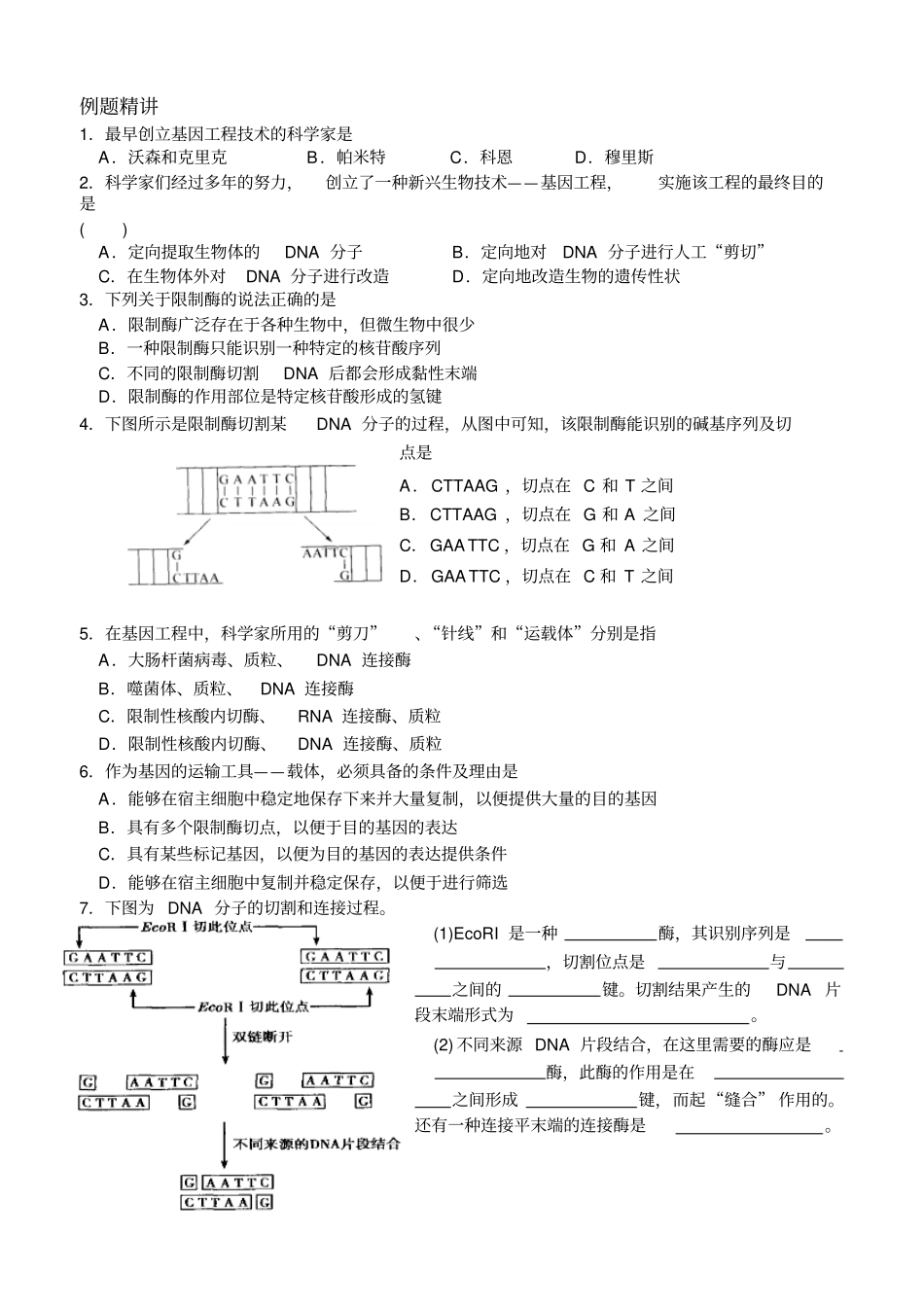 基因工程工具_第3页