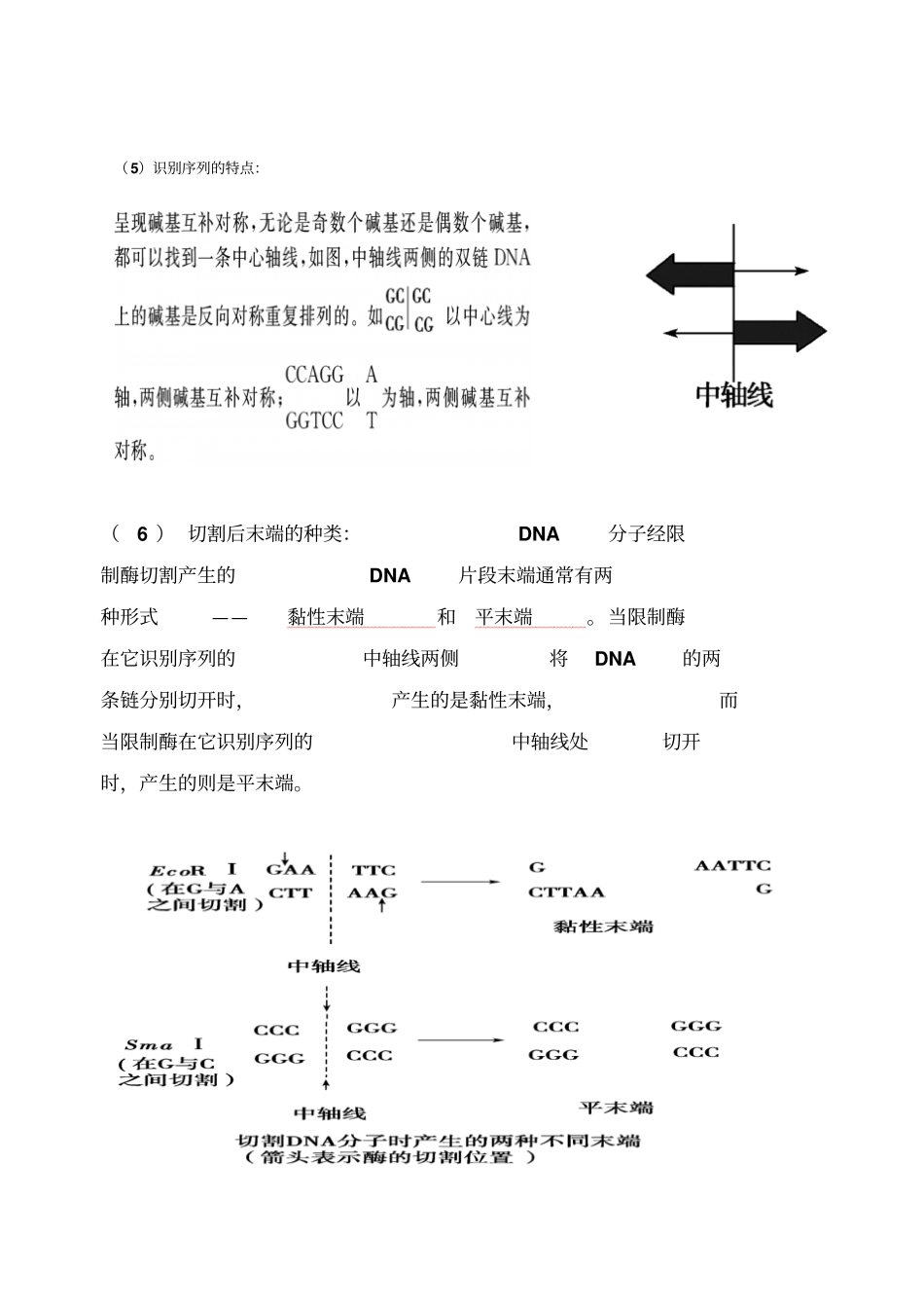 基因工程知识点超全_第2页