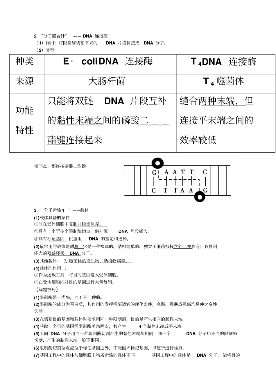 基因工程知识点超全_第3页