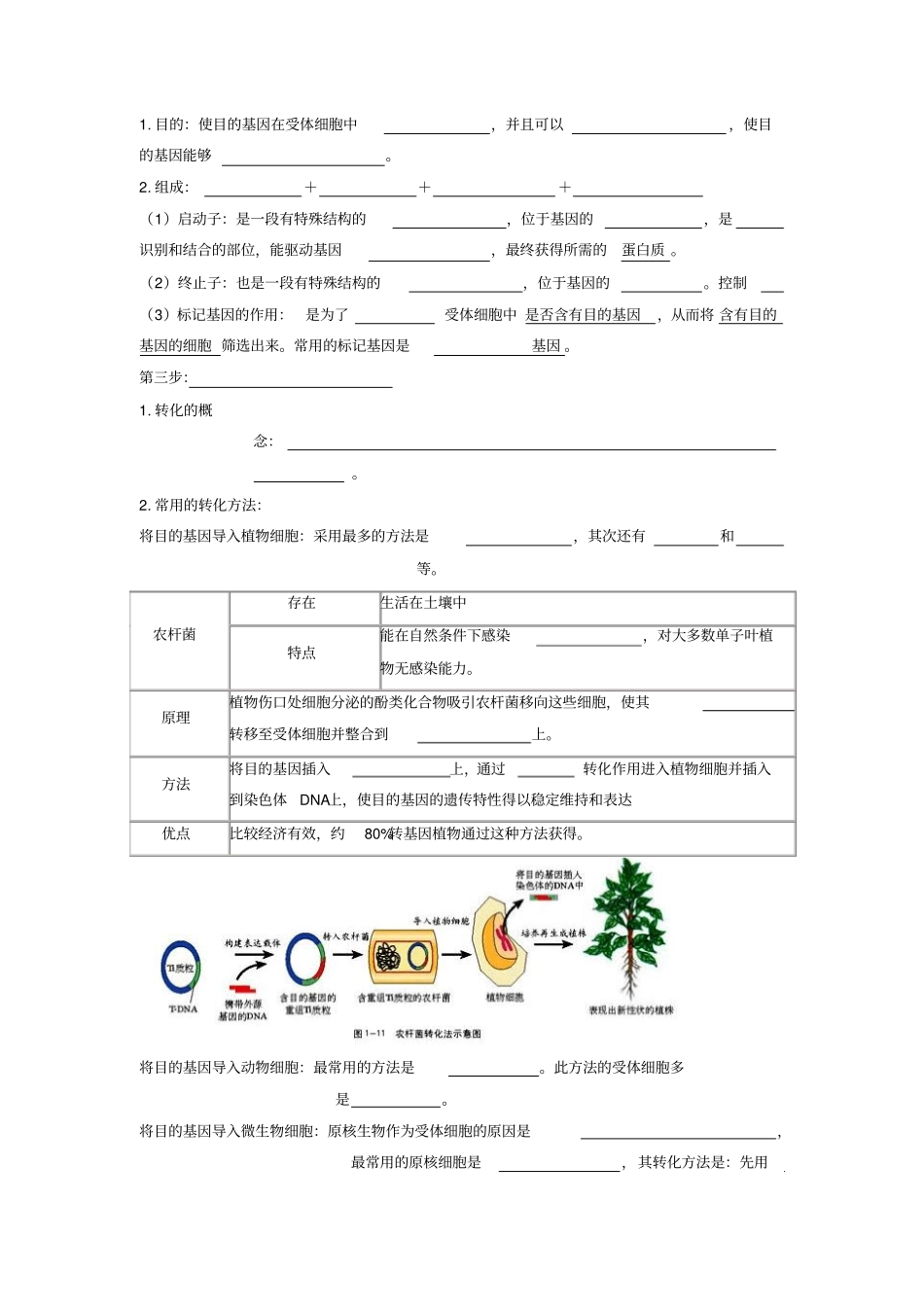 基因工程知识点梳理_第3页