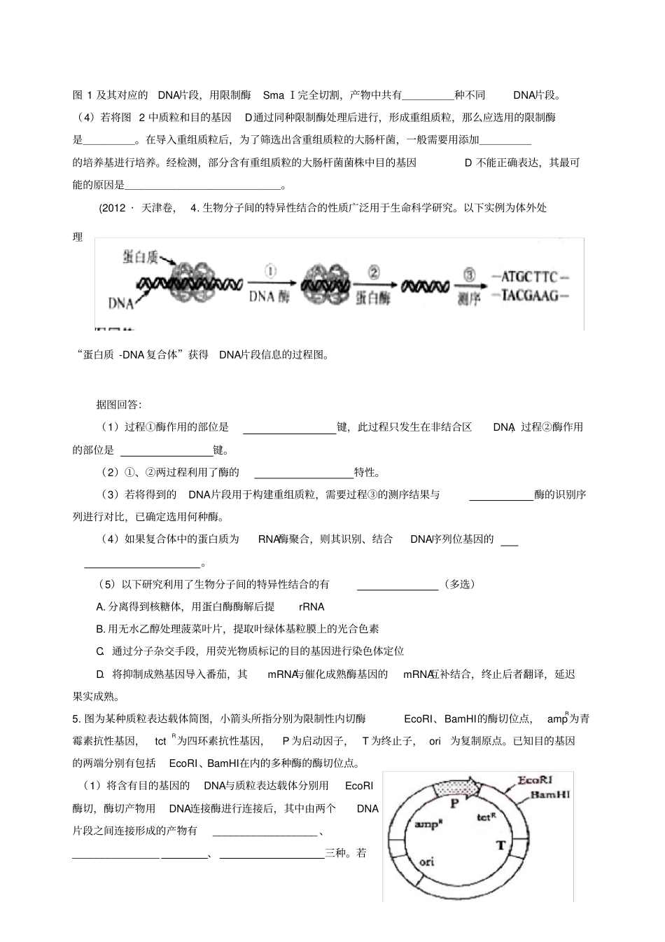 基因工程高考题总结_第2页