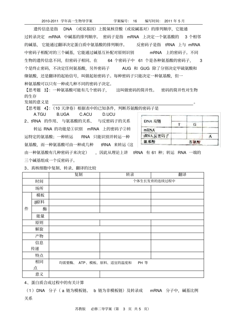 基因指导蛋白质合成导学案_第3页