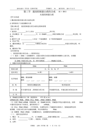 基因指导蛋白质合成导学案