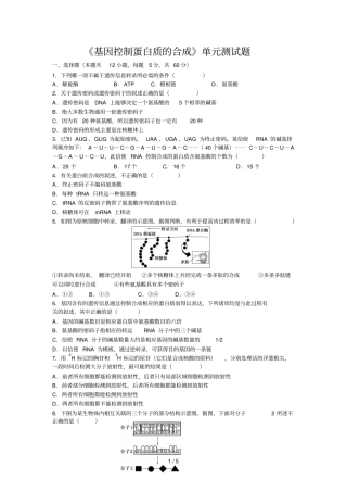 基因控制蛋白质合成测试题