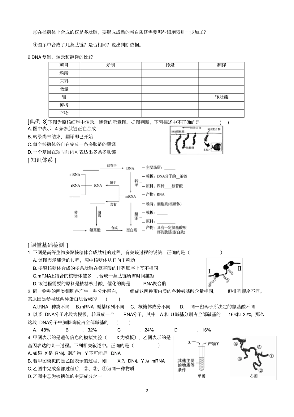 基因指导蛋白质的合成二导学案_第3页