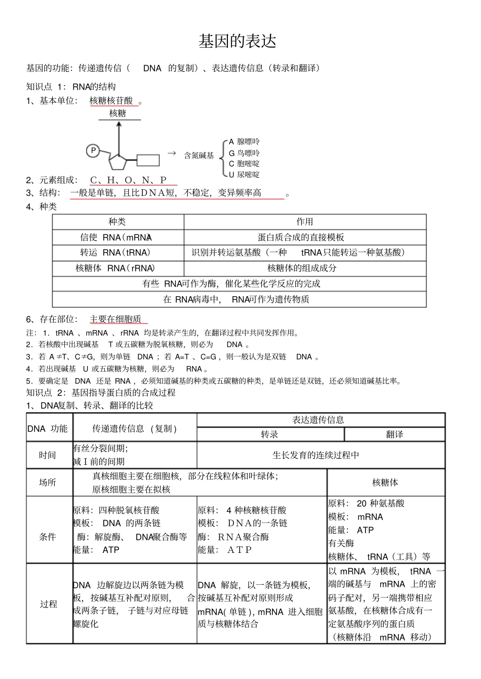 基因的表达一轮复习教学案教师版_第1页