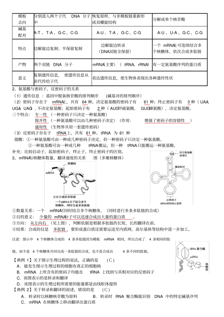 基因的表达一轮复习教学案教师版_第2页