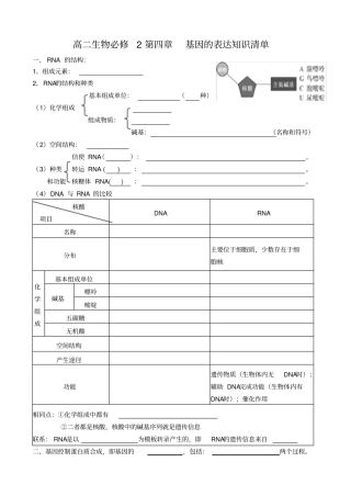 基因的表达知识点