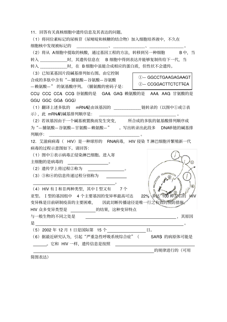 基因的表达综合练习题_第2页