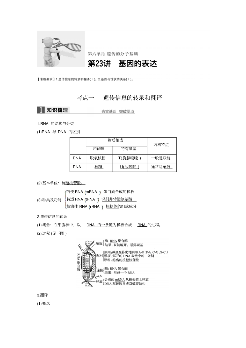 基因的表达讲解_第1页