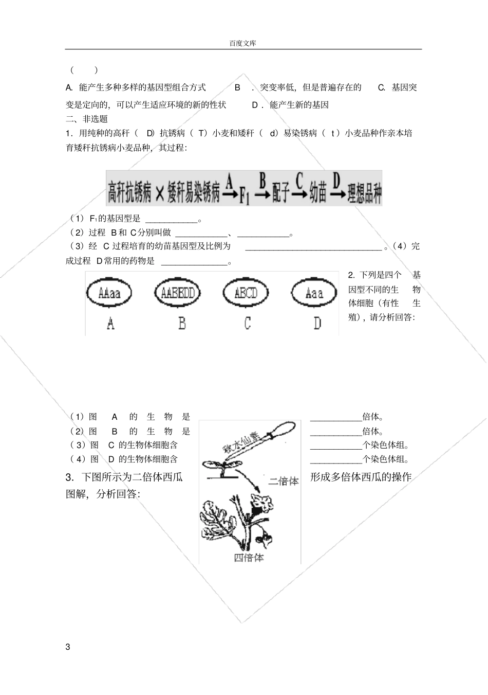 基因突变及其他变异测试题_第3页