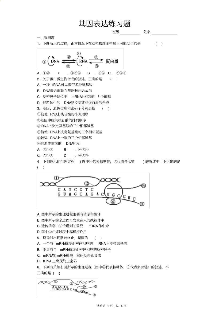 基因表达练习题_第1页
