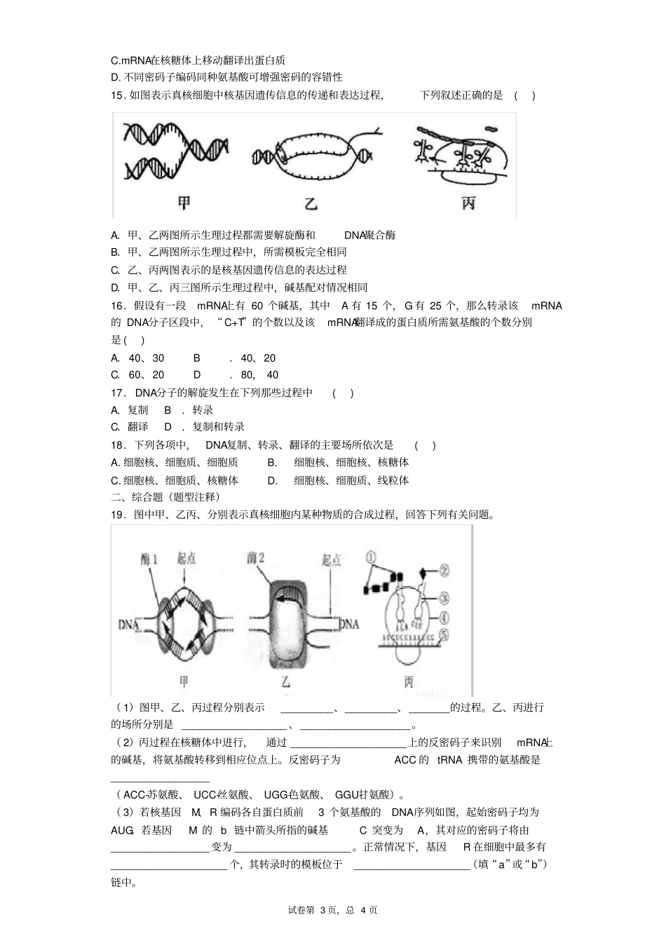 基因表达练习题_第3页