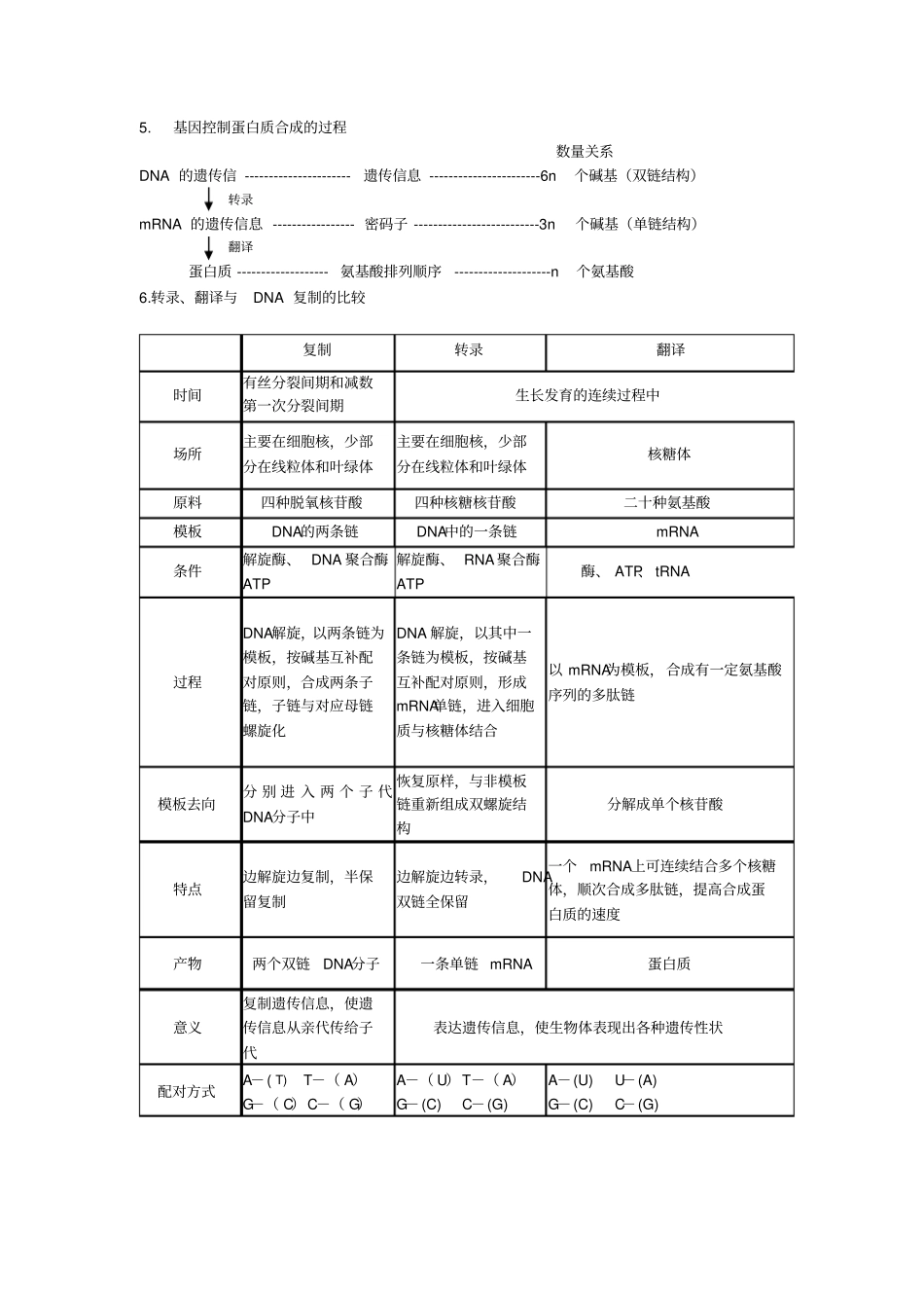 基因转录与翻译知识点_第2页