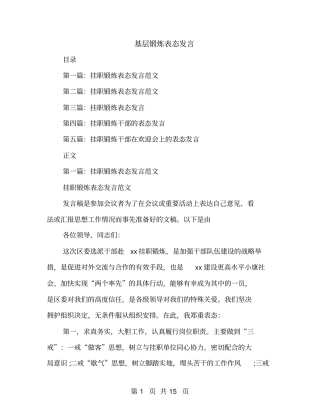 基层锻炼表态发言