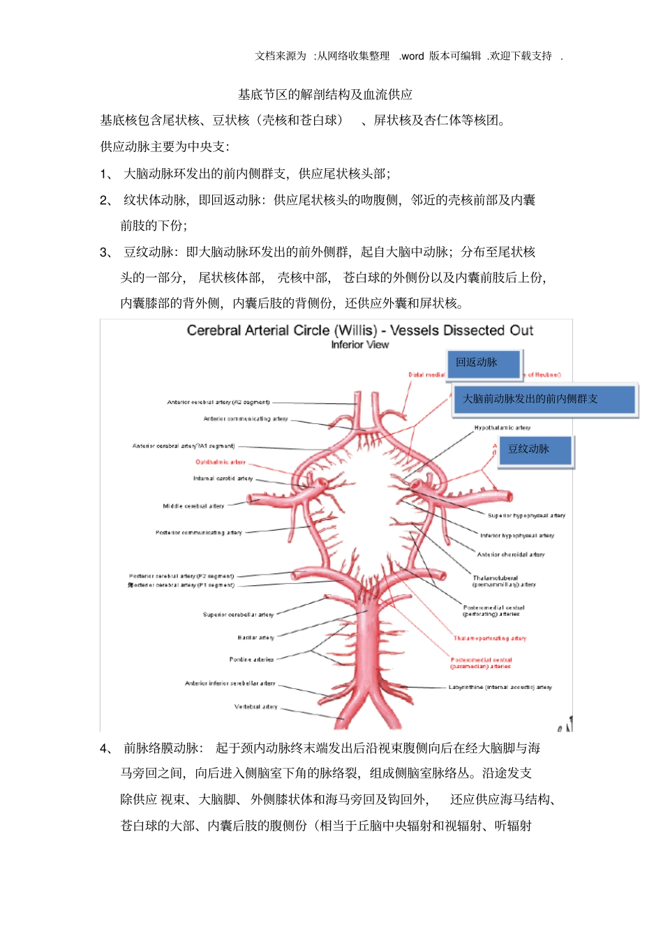 基底节区的解剖结构及血流供应_第1页