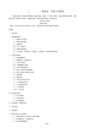 基金会度工作报告