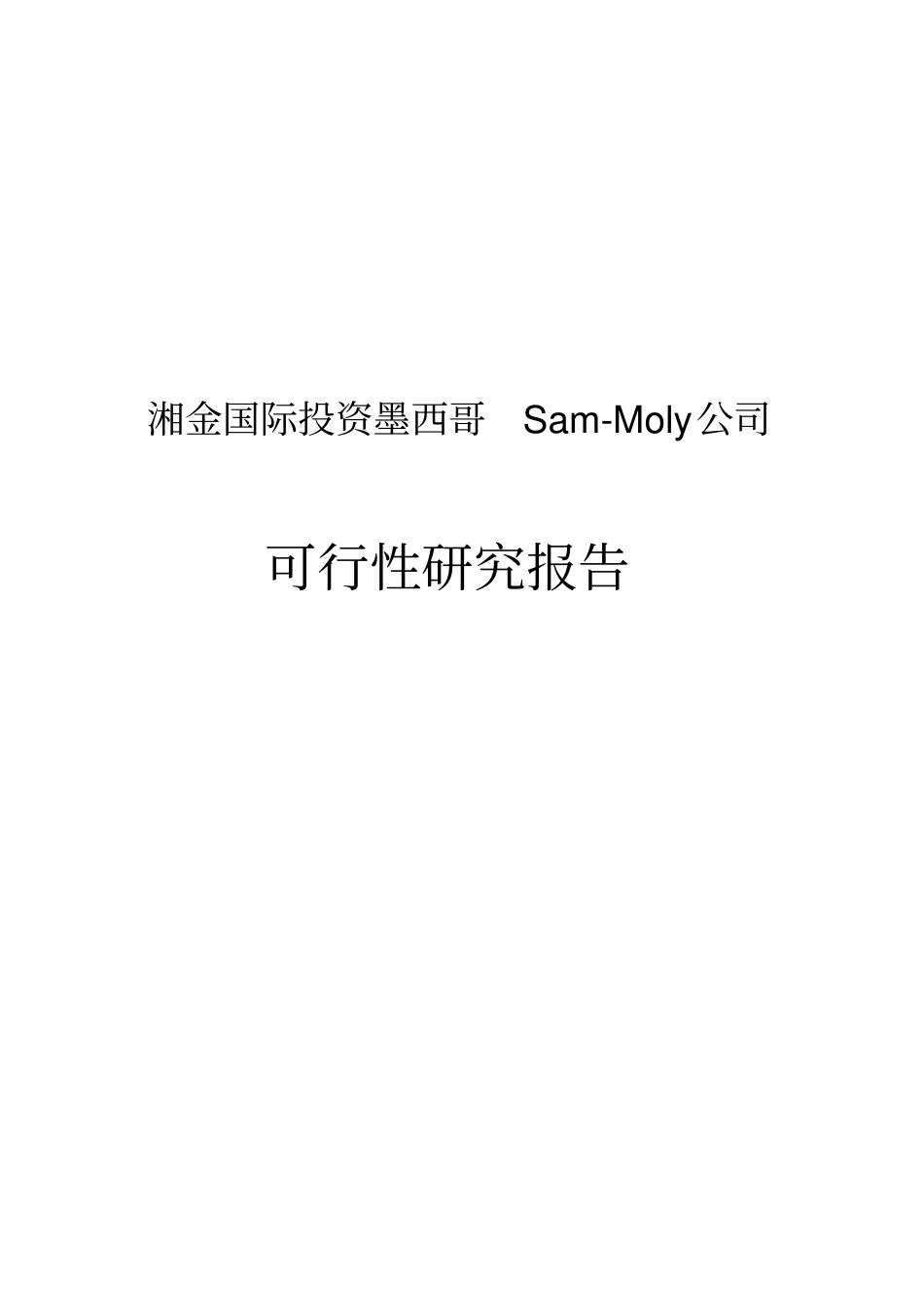 墨西哥lafe钼矿山项目可行性研究报告_第1页