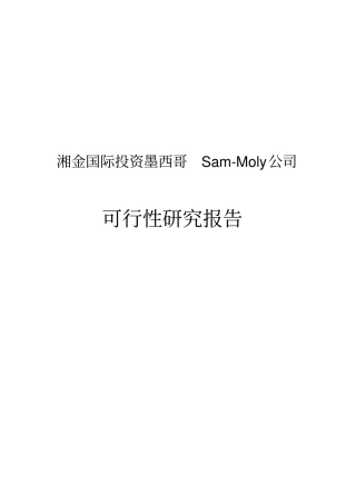 墨西哥lafe钼矿山项目可行性研究报告