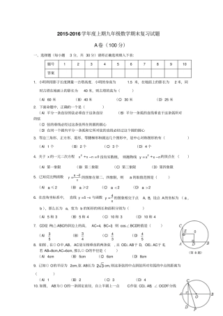 外国语初中上期九年级数学期末复习试题