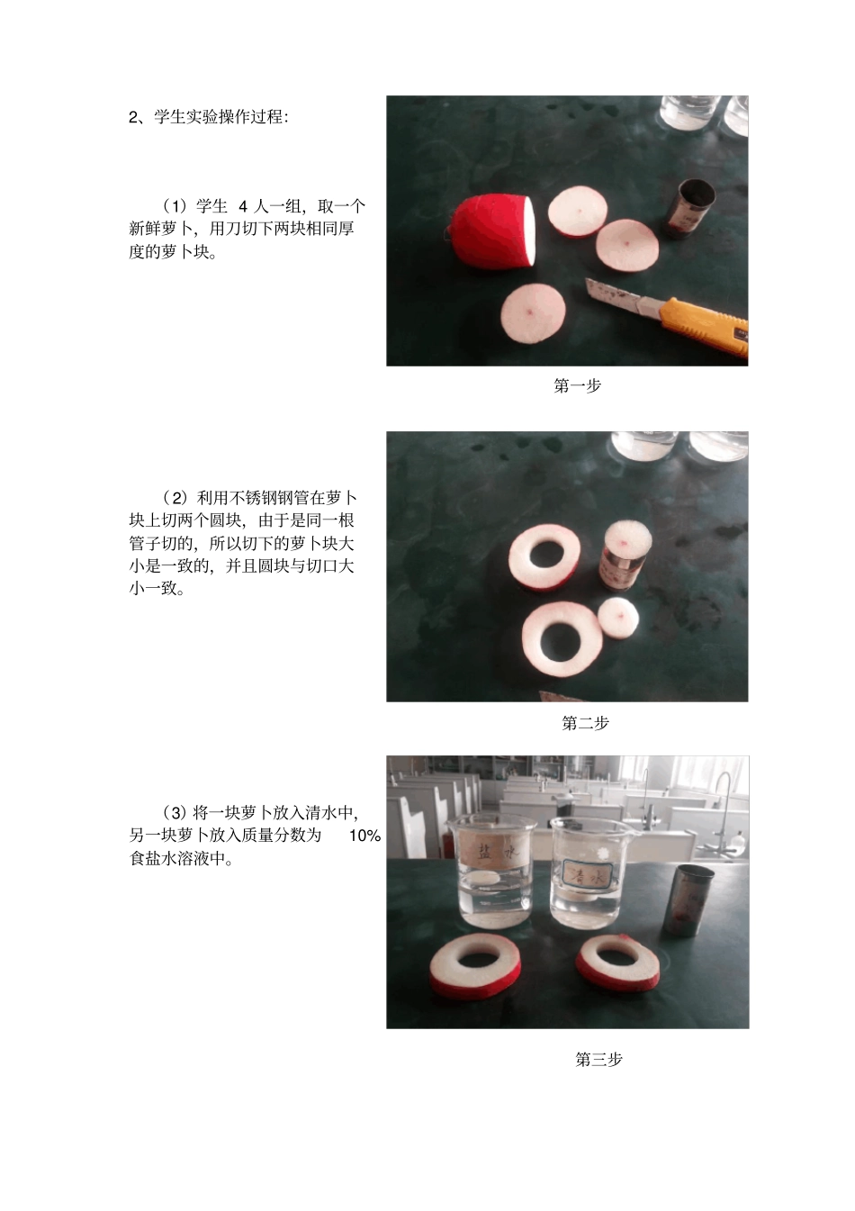 外界溶液影响根细胞的吸水试验教学设计_第2页