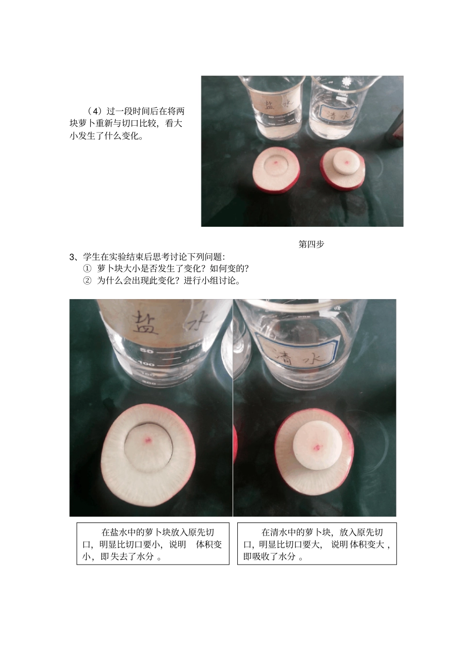 外界溶液影响根细胞的吸水试验教学设计_第3页