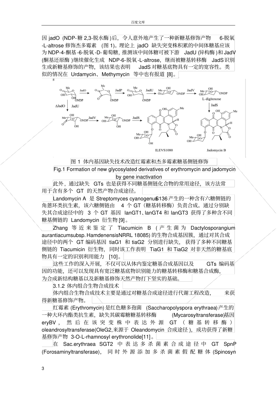 天然产物糖基化修饰及应用_第3页