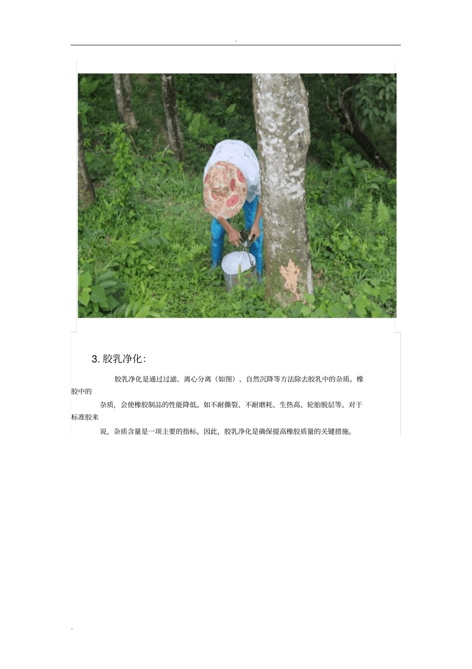 天然橡胶制作过程_第2页