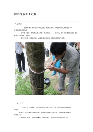 天然橡胶制作过程