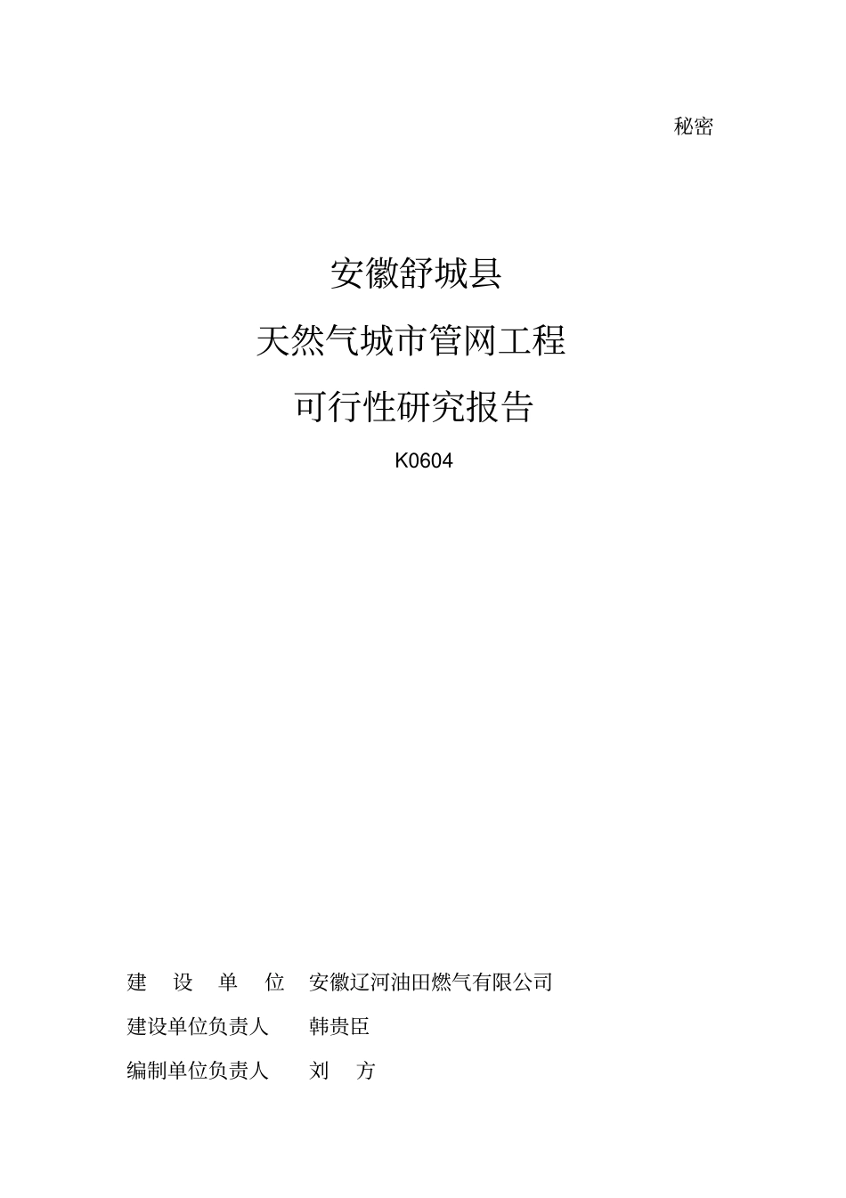 天然气城管网工程可行性研究报告行业优秀报告_第2页