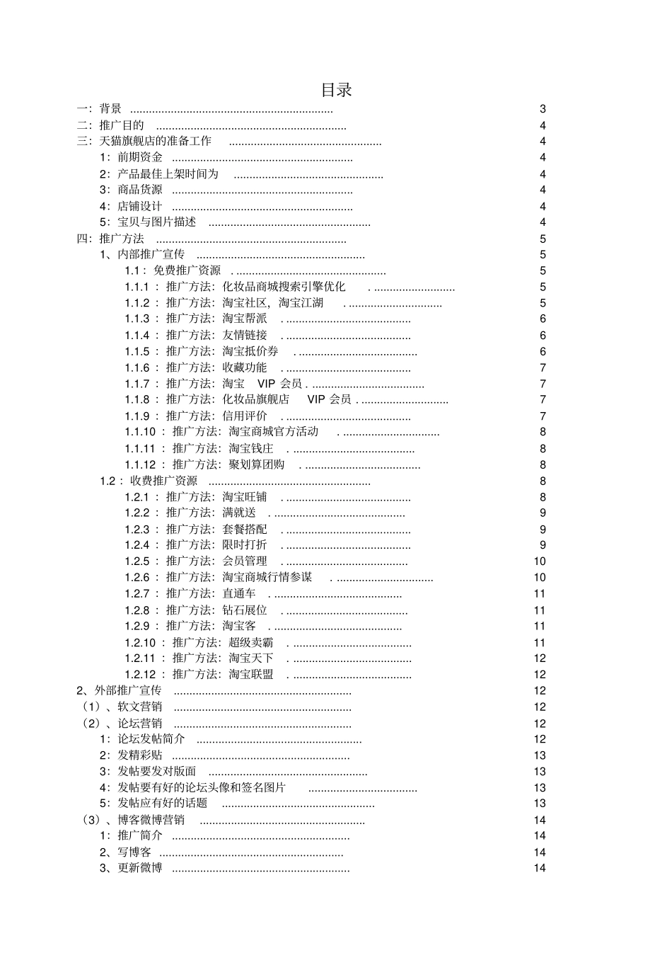 天猫商城推广方案_第1页