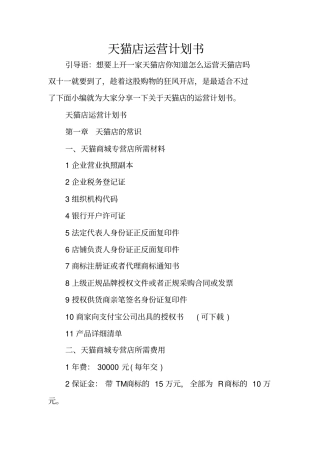 天猫店运营计划书