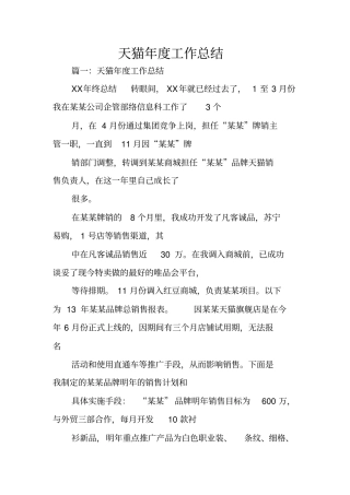 天猫年工作总结