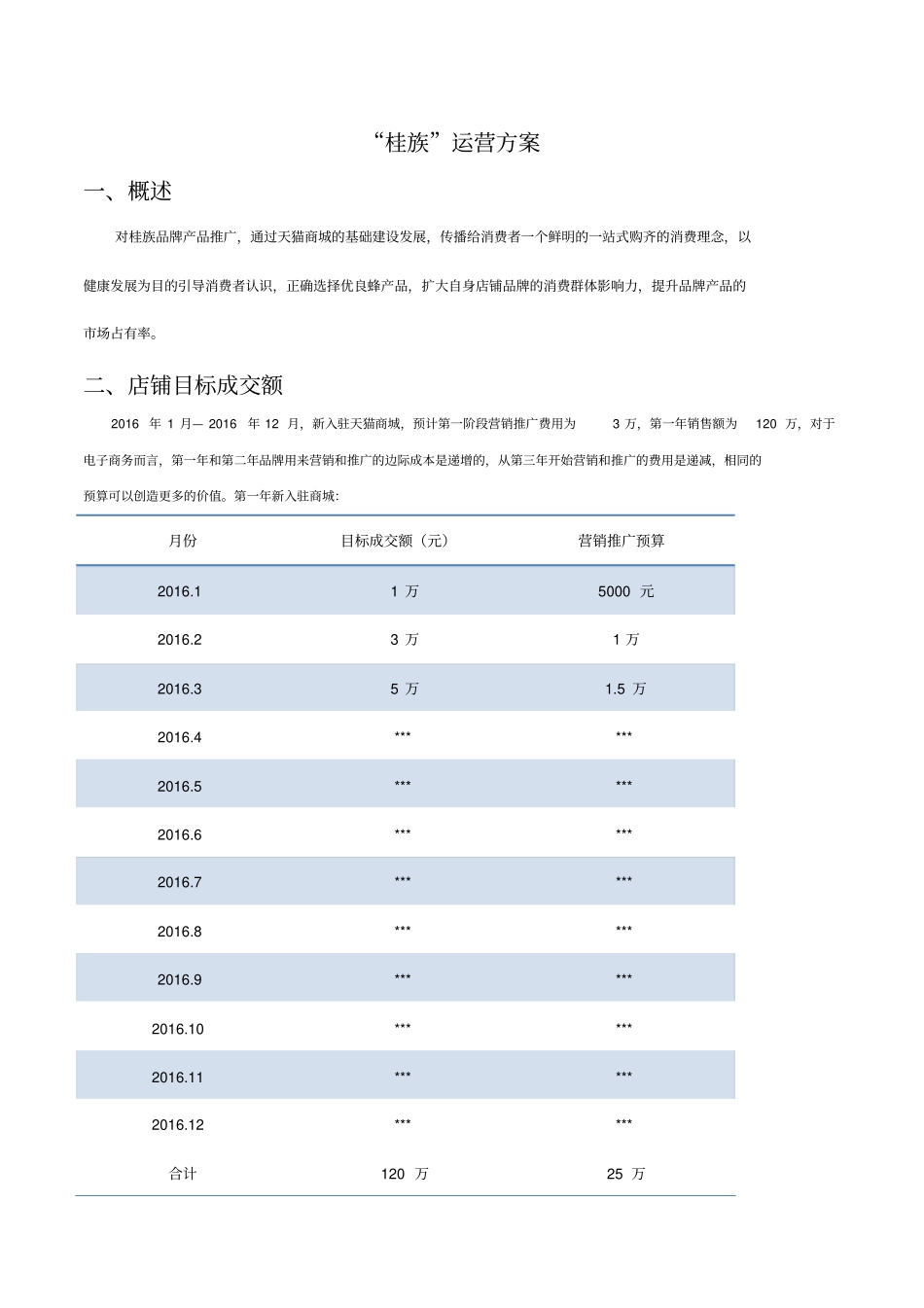 天猫店铺品牌运营方案_第1页