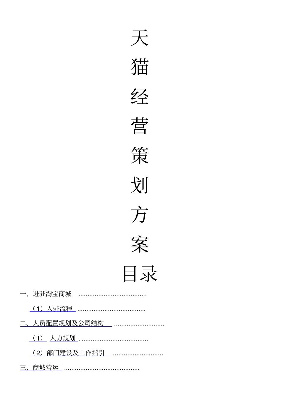 天猫经营策划方案_第1页