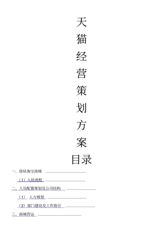 天猫经营策划方案