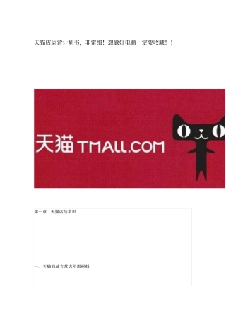 天猫运营策划书