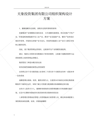 天象投资集团有限公司组织架构设计方案