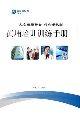 太平洋保险手册套