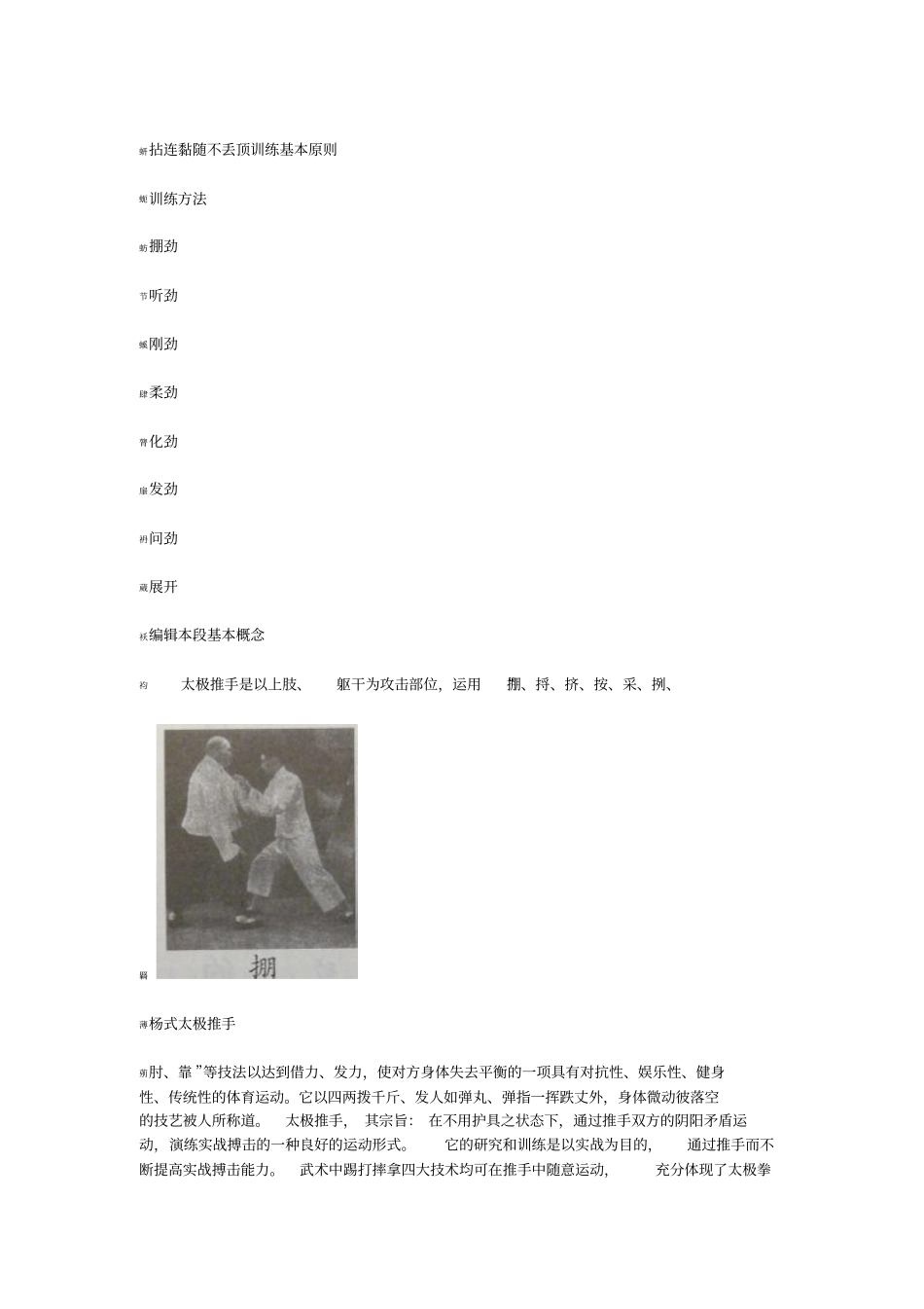 太极推手也称打手_第2页
