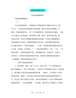 失独家庭调研报告【可编辑版】