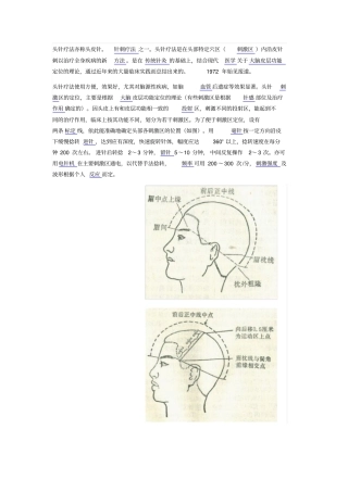 头针疗法亦称头皮针