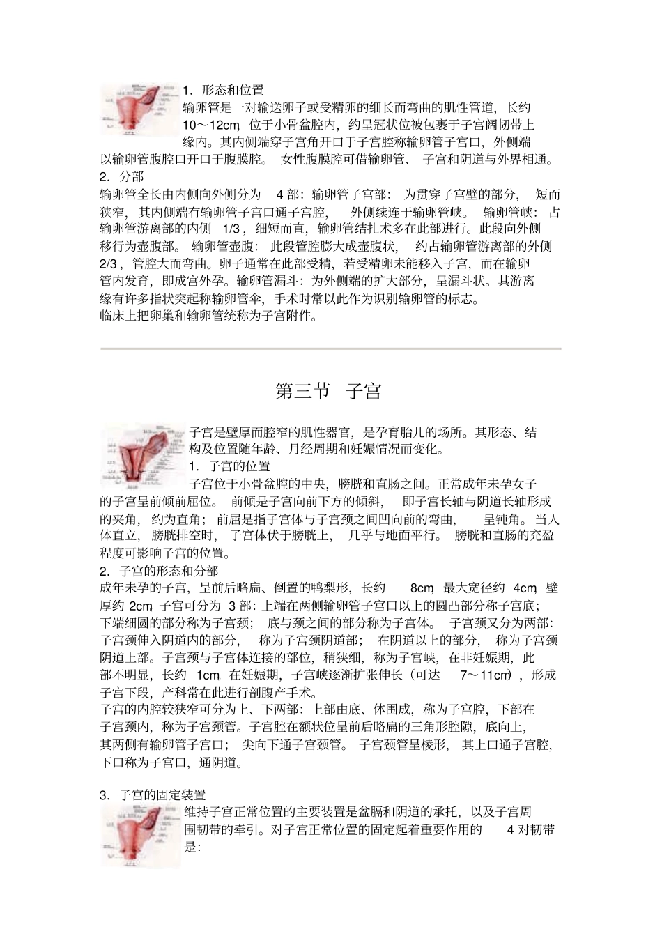 女性生殖系统_第2页