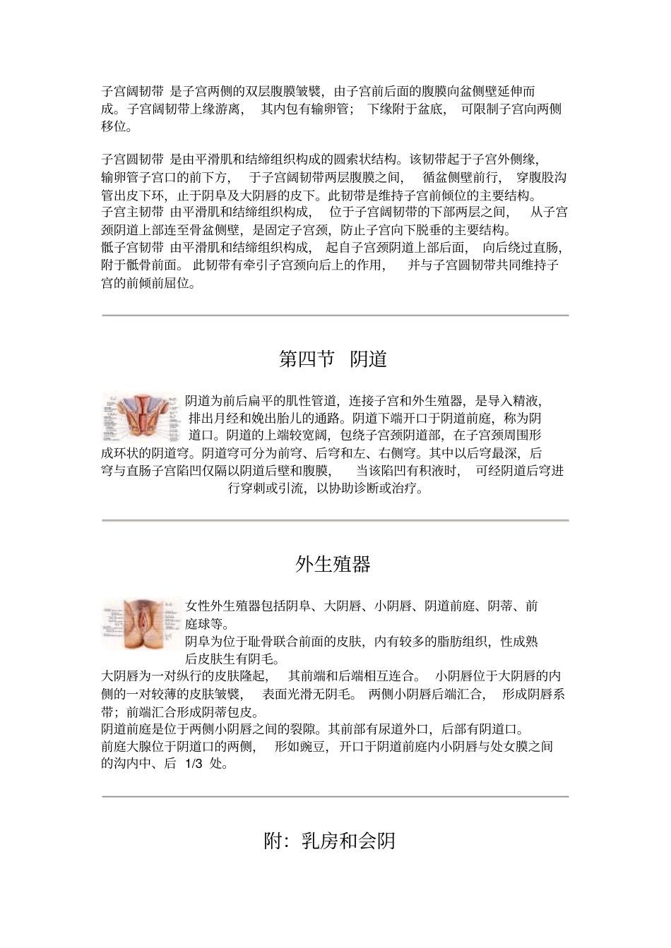 女性生殖系统_第3页
