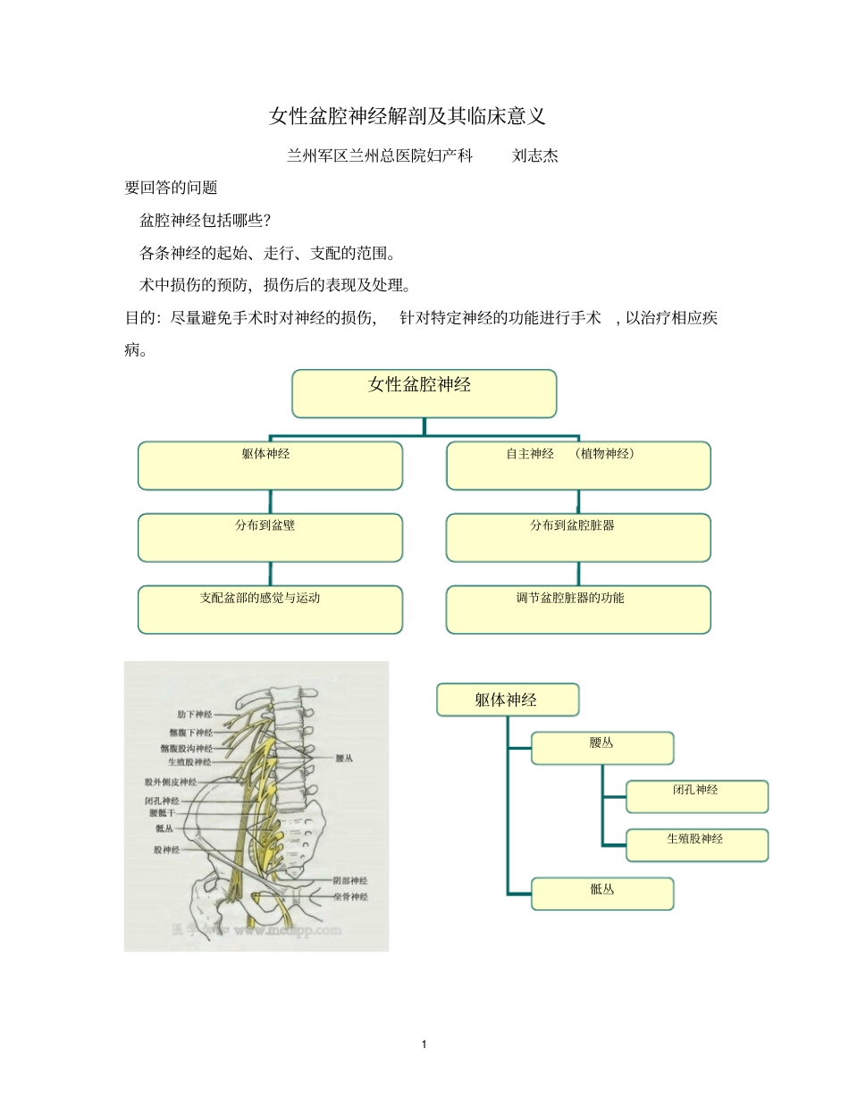 女性盆腔神经解剖和其临床意义_第1页