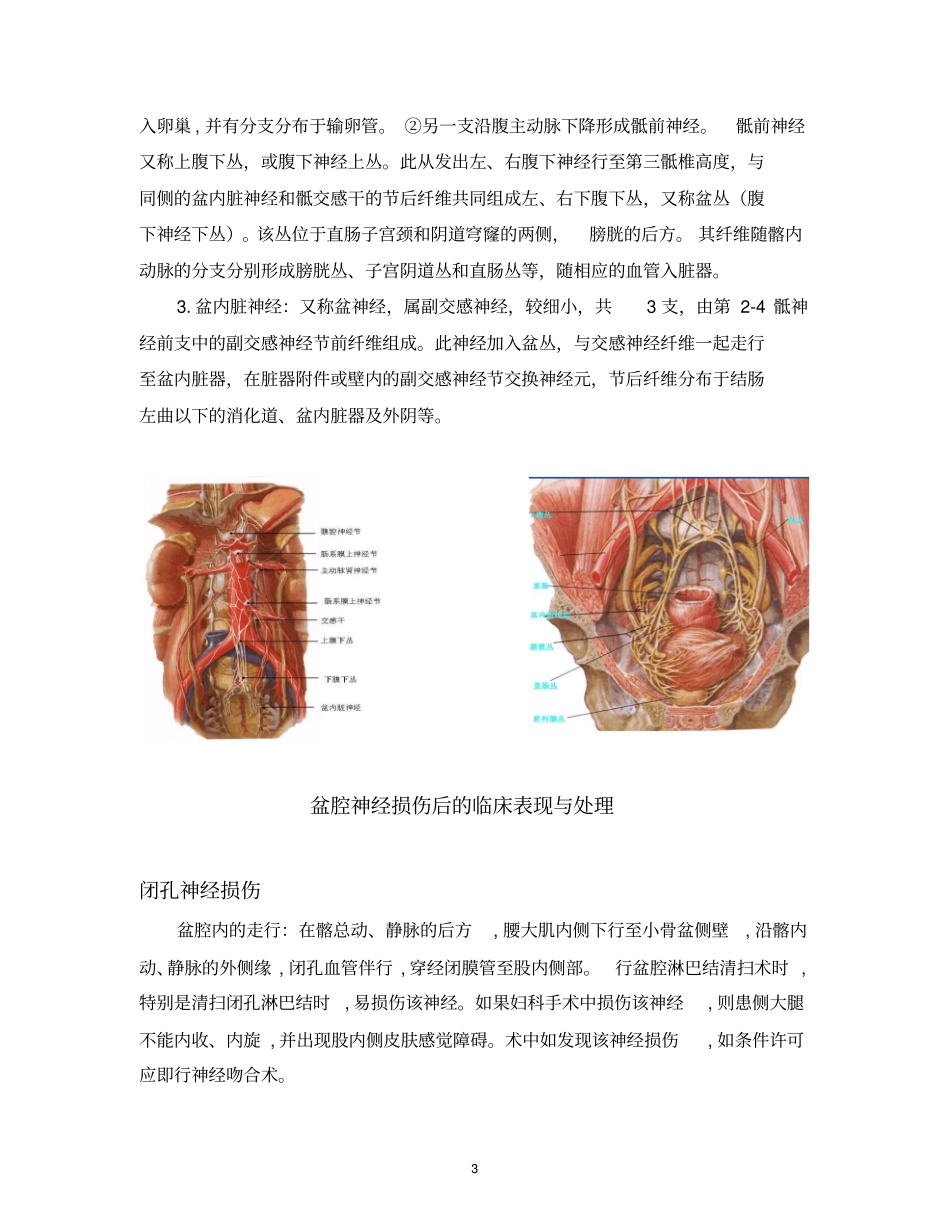 女性盆腔神经解剖和其临床意义_第3页