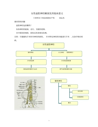 女性盆腔神经解剖和其临床意义