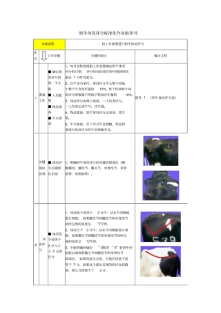奶牛体况评分标准化作业指导书